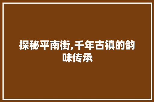 探秘平南街,千年古镇的韵味传承  第1张