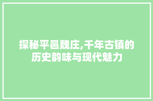 探秘平邑魏庄,千年古镇的历史韵味与现代魅力