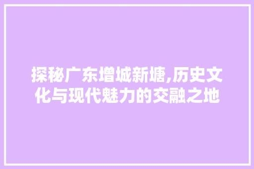 探秘广东增城新塘,历史文化与现代魅力的交融之地