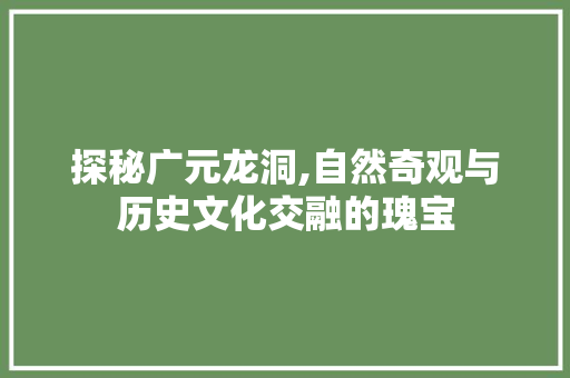 探秘广元龙洞,自然奇观与历史文化交融的瑰宝