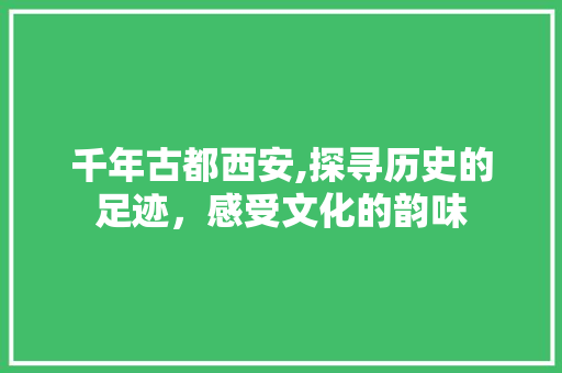 千年古都西安,探寻历史的足迹，感受文化的韵味  第1张