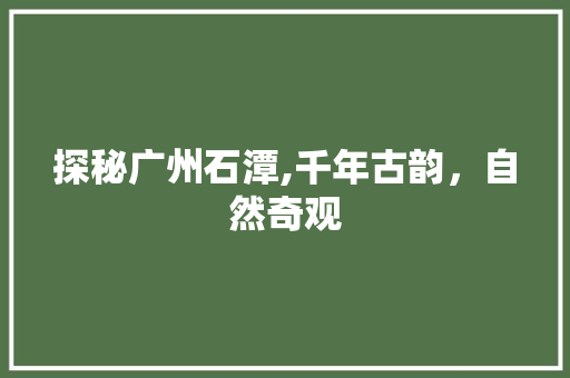 探秘广州石潭,千年古韵，自然奇观