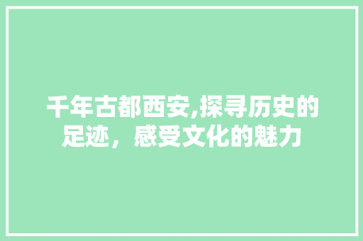 千年古都西安,探寻历史的足迹，感受文化的魅力