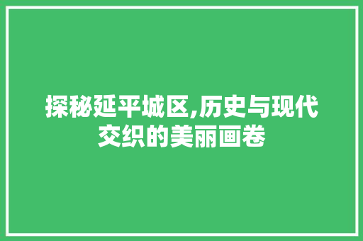 探秘延平城区,历史与现代交织的美丽画卷