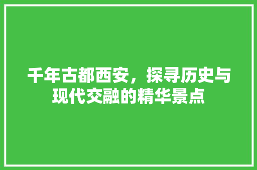 千年古都西安，探寻历史与现代交融的精华景点  第1张