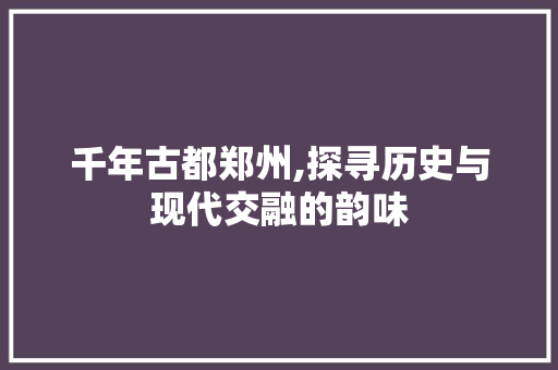 千年古都郑州,探寻历史与现代交融的韵味