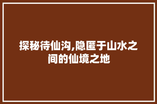 探秘待仙沟,隐匿于山水之间的仙境之地  第1张