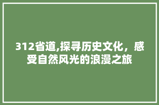 312省道,探寻历史文化，感受自然风光的浪漫之旅