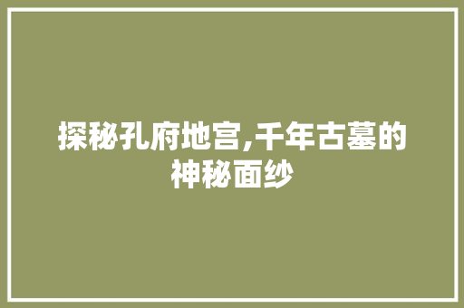 探秘孔府地宫,千年古墓的神秘面纱  第1张