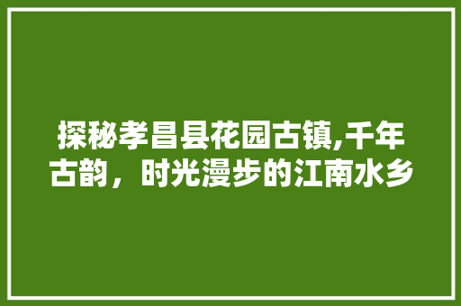 探秘孝昌县花园古镇,千年古韵，时光漫步的江南水乡