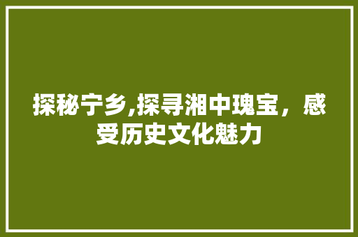 探秘宁乡,探寻湘中瑰宝，感受历史文化魅力