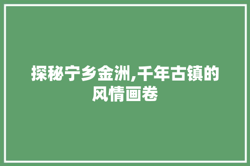 探秘宁乡金洲,千年古镇的风情画卷