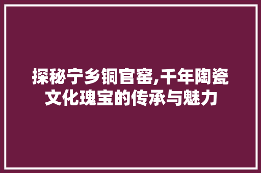 探秘宁乡铜官窑,千年陶瓷文化瑰宝的传承与魅力  第1张