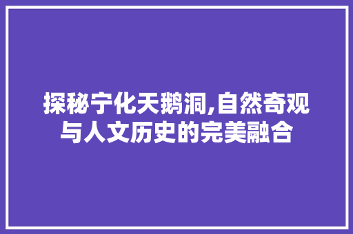 探秘宁化天鹅洞,自然奇观与人文历史的完美融合