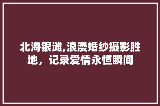 北海银滩,浪漫婚纱摄影胜地，记录爱情永恒瞬间  第1张