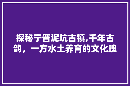 探秘宁晋泥坑古镇,千年古韵，一方水土养育的文化瑰宝  第1张