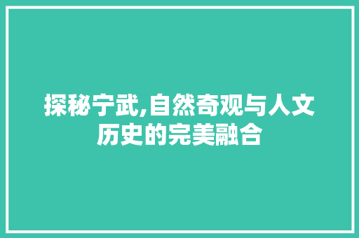 探秘宁武,自然奇观与人文历史的完美融合  第1张