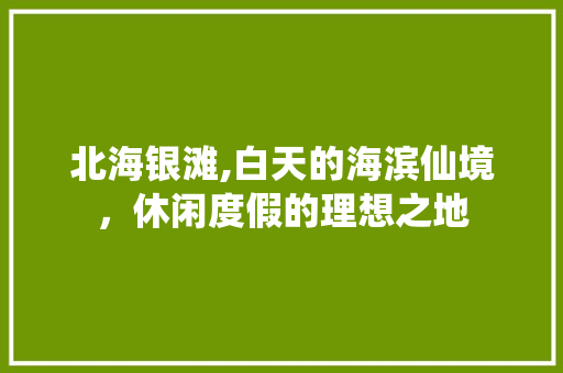 北海银滩,白天的海滨仙境，休闲度假的理想之地  第1张