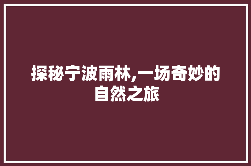 探秘宁波雨林,一场奇妙的自然之旅