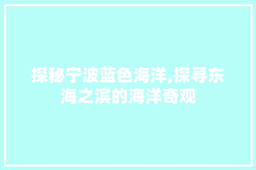 探秘宁波蓝色海洋,探寻东海之滨的海洋奇观