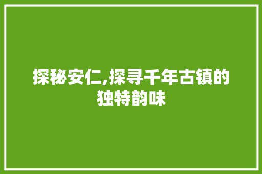 探秘安仁,探寻千年古镇的独特韵味  第1张