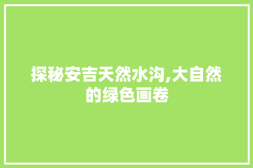 探秘安吉天然水沟,大自然的绿色画卷