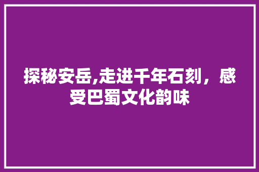 探秘安岳,走进千年石刻，感受巴蜀文化韵味