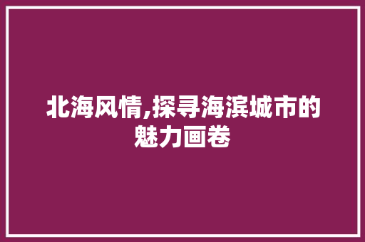 北海风情,探寻海滨城市的魅力画卷  第1张