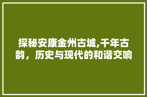 探秘安康金州古城,千年古韵，历史与现代的和谐交响