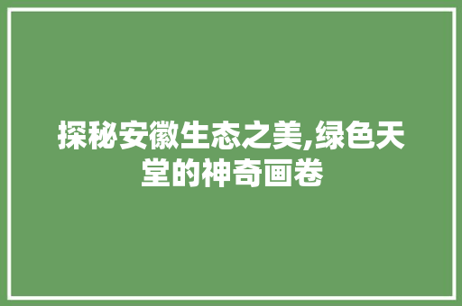 探秘安徽生态之美,绿色天堂的神奇画卷  第1张