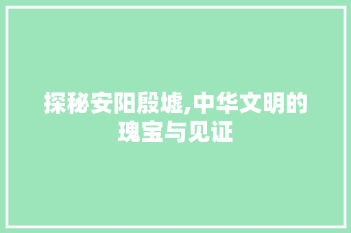 探秘安阳殷墟,中华文明的瑰宝与见证  第1张