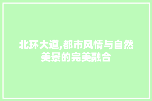 北环大道,都市风情与自然美景的完美融合