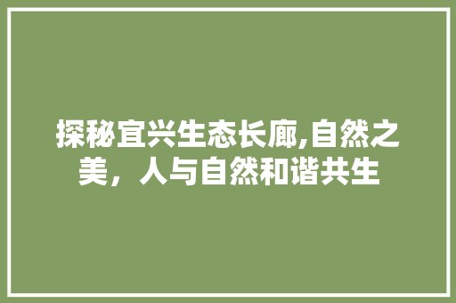 探秘宜兴生态长廊,自然之美，人与自然和谐共生