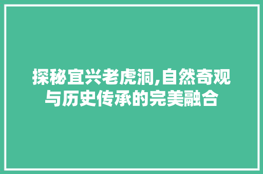 探秘宜兴老虎洞,自然奇观与历史传承的完美融合  第1张