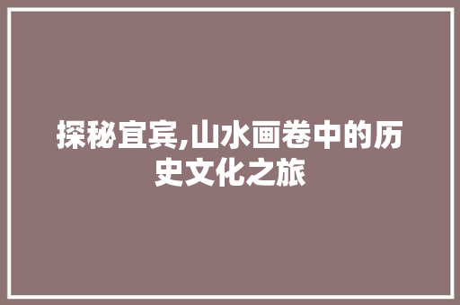 探秘宜宾,山水画卷中的历史文化之旅  第1张