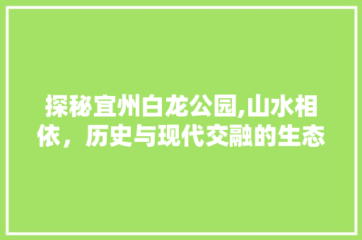 探秘宜州白龙公园,山水相依，历史与现代交融的生态胜地