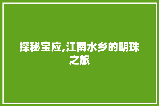 探秘宝应,江南水乡的明珠之旅