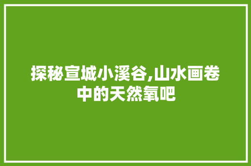 探秘宣城小溪谷,山水画卷中的天然氧吧