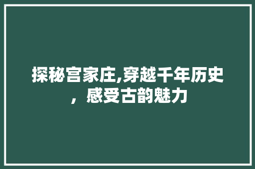 探秘宫家庄,穿越千年历史，感受古韵魅力