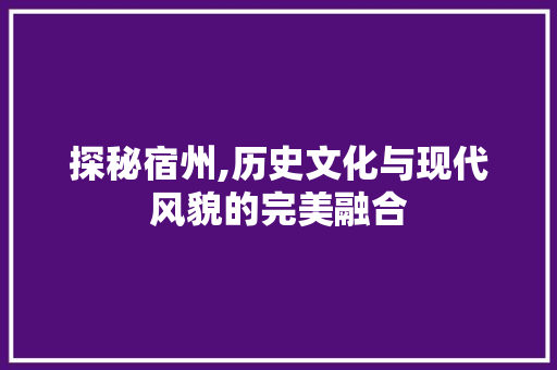 探秘宿州,历史文化与现代风貌的完美融合  第1张