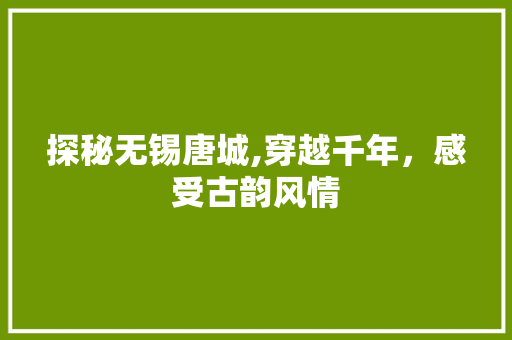 探秘无锡唐城,穿越千年，感受古韵风情