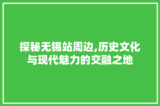 探秘无锡站周边,历史文化与现代魅力的交融之地