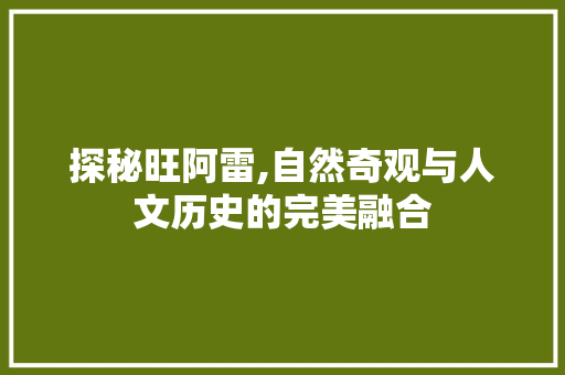 探秘旺阿雷,自然奇观与人文历史的完美融合