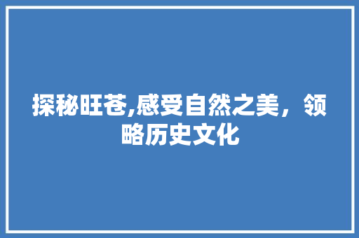 探秘旺苍,感受自然之美，领略历史文化