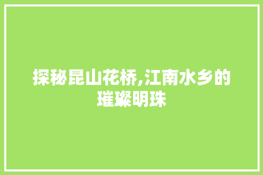 探秘昆山花桥,江南水乡的璀璨明珠  第1张