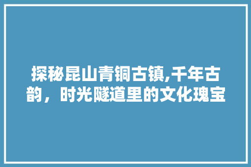 探秘昆山青铜古镇,千年古韵，时光隧道里的文化瑰宝