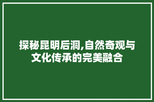 探秘昆明后洞,自然奇观与文化传承的完美融合