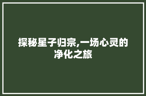 探秘星子归宗,一场心灵的净化之旅