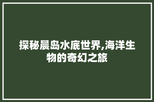 探秘晨岛水底世界,海洋生物的奇幻之旅