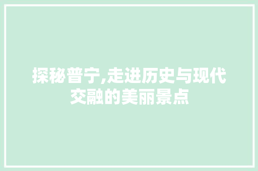 探秘普宁,走进历史与现代交融的美丽景点